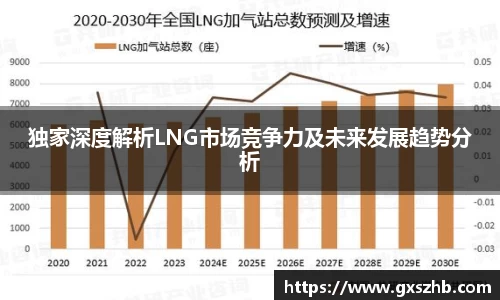 独家深度解析LNG市场竞争力及未来发展趋势分析