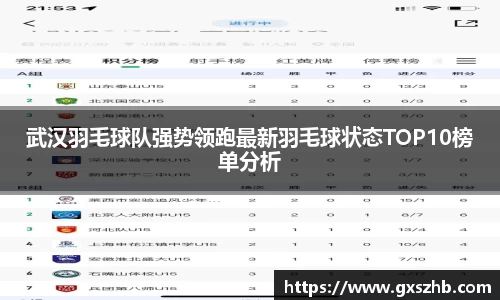 武汉羽毛球队强势领跑最新羽毛球状态TOP10榜单分析