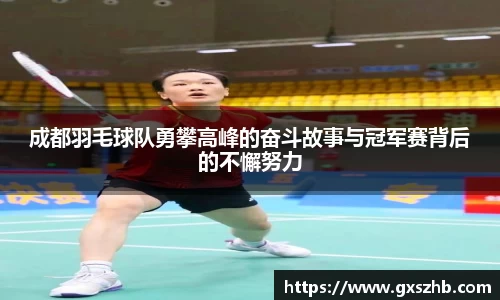 成都羽毛球队勇攀高峰的奋斗故事与冠军赛背后的不懈努力