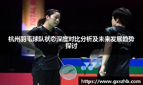 杭州羽毛球队状态深度对比分析及未来发展趋势探讨